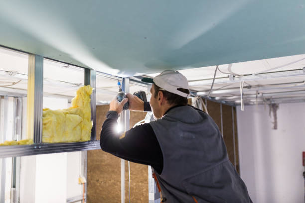 Best Insulation Maintenance and Repair in Alderson, WV