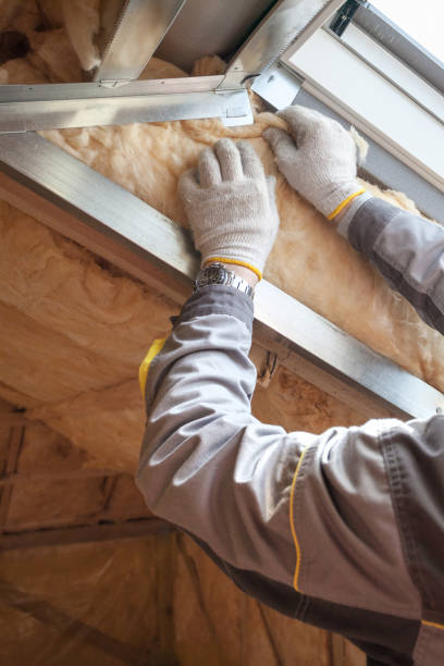 Best Geographic-Specific Insulation Services in Alderson, WV