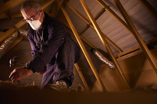 Best Cellulose Insulation in Alderson, WV
