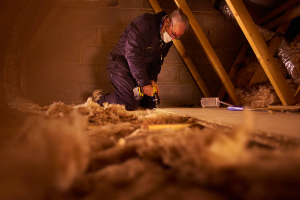Types of Insulation We Offer in Alderson, WV