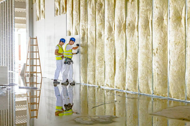 Best Fiberglass Insulation in Alderson, WV